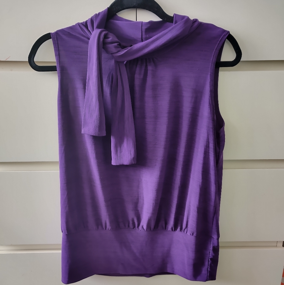Susan Lawrence Purple Top